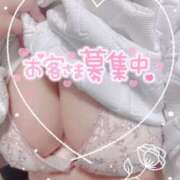 ヒメ日記 2026/02/22 10:33 投稿 めい ぽちゃ巨乳専門　新大久保・新宿歌舞伎町ちゃんこ