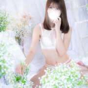 ヒメ日記 2026/03/21 16:17 投稿 どれみ★国宝級！究極の美ボディ S級素人清楚系デリヘル chloe
