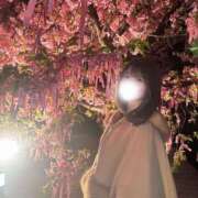 ヒメ日記 2026/03/05 16:08 投稿 どれみ★国宝級！究極の美ボディ Chloe五反田本店　S級素人清楚系デリヘル