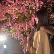 ヒメ日記 2026/03/08 11:52 投稿 どれみ★国宝級！究極の美ボディ Chloe五反田本店　S級素人清楚系デリヘル