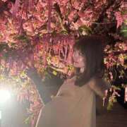 どれみ★国宝級！究極の美ボディ 完売🈵 Chloe五反田本店　S級素人清楚系デリヘル