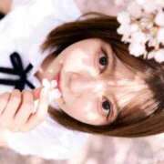 ヒメ日記 2026/04/17 16:55 投稿 どれみ★国宝級！究極の美ボディ Chloe五反田本店　S級素人清楚系デリヘル