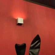 ヒメ日記 2026/02/16 09:50 投稿 ハニー いたずらバニーちゃん