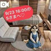 ヒメ日記 2026/02/24 21:55 投稿 山川ひより コウテイ