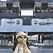 ヒメ日記 2026/03/15 09:05 投稿 山川ひより コウテイ