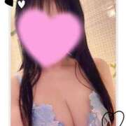 ヒメ日記 2026/04/23 17:05 投稿 山川ひより コウテイ