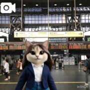 ヒメ日記 2026/04/25 09:35 投稿 山川ひより コウテイ