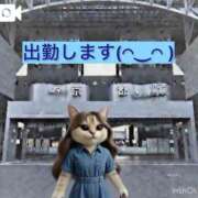 ヒメ日記 2026/06/13 09:15 投稿 山川ひより コウテイ
