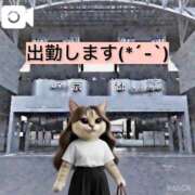 ヒメ日記 2026/06/14 09:15 投稿 山川ひより コウテイ
