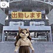 ヒメ日記 2026/06/20 08:46 投稿 山川ひより コウテイ