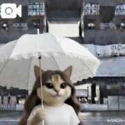 ヒメ日記 2026/07/05 08:45 投稿 山川ひより コウテイ