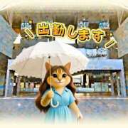ヒメ日記 2026/08/08 09:45 投稿 山川ひより コウテイ