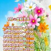 ヒメ日記 2026/08/29 17:29 投稿 山川ひより コウテイ