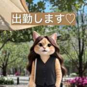 ヒメ日記 2026/09/05 09:22 投稿 山川ひより コウテイ
