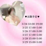 ヒメ日記 2026/03/23 14:56 投稿 もか※超敏感なドMちゃん♪ きらめけ！にゃんにゃん学園in大宮