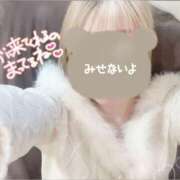 ヒメ日記 2026/02/09 11:27 投稿 ふうり ハピネス東京