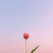 ヒメ日記 2026/03/04 02:30 投稿 まい プールサイド新橋店