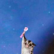 ヒメ日記 2026/04/04 00:01 投稿 まい プールサイド新橋店