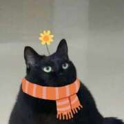 ヒメ日記 2026/04/08 01:55 投稿 まい プールサイド新橋店