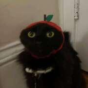 ヒメ日記 2026/04/24 01:40 投稿 まい プールサイド新橋店