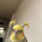 ヒメ日記 2026/08/21 11:34 投稿 まい プールサイド新橋店