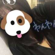 ヒメ日記 2026/02/13 21:57 投稿 まゆ 宮崎ちゃんこ中央通店