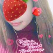 まゆ あとふつか？ 宮崎ちゃんこ中央通店