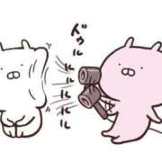 ヒメ日記 2026/02/28 08:34 投稿 ひなこ バタフライ立川