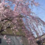 りえ☆オジ心掴みます☆ 急遽🎀 アネキャンモード