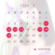 ヒメ日記 2026/04/11 10:06 投稿 りえ☆オジ心掴みます☆ アネキャンモード