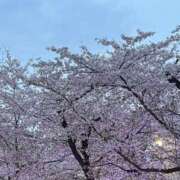 ヒメ日記 2026/04/02 16:42 投稿 さとえり でりどす