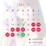 ヒメ日記 2026/04/15 16:01 投稿 さとえり でりどす