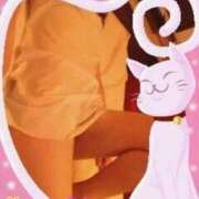 ヒメ日記 2026/02/19 09:00 投稿 はつね 熟女の風俗最終章 相模原店