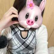 ヒメ日記 2026/02/14 08:11 投稿 POP【ポップ】 ピンクコレクション大阪