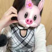 ヒメ日記 2026/02/14 08:12 投稿 POP【ポップ】 ピンクコレクション尼崎店