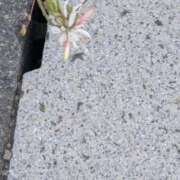 ヒメ日記 2026/06/10 20:00 投稿 るる 人妻㊙︎倶楽部