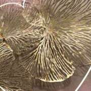 ヒメ日記 2026/02/03 23:13 投稿 しずか One More 奥様　錦糸町店