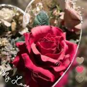 ヒメ日記 2026/02/04 23:43 投稿 しずか One More 奥様　錦糸町店