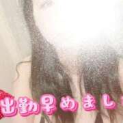 ヒメ日記 2026/02/07 15:33 投稿 しずか One More 奥様　錦糸町店