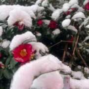 ヒメ日記 2026/02/08 09:43 投稿 しずか One More 奥様　錦糸町店