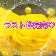 ヒメ日記 2026/02/08 20:54 投稿 しずか One More 奥様　錦糸町店