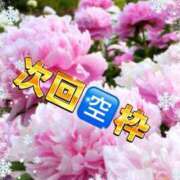 ヒメ日記 2026/02/11 13:33 投稿 しずか One More 奥様　錦糸町店