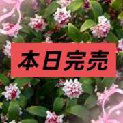 ヒメ日記 2026/02/18 04:53 投稿 しずか One More 奥様　錦糸町店