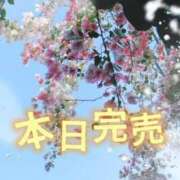 ヒメ日記 2026/02/22 01:13 投稿 しずか One More 奥様　錦糸町店