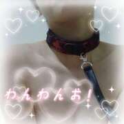 しずく 動物大好き♡ Respect