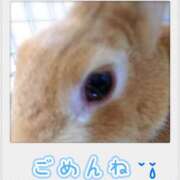 ヒメ日記 2026/03/19 12:43 投稿 しずく Respect