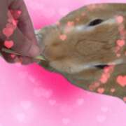 ヒメ日記 2026/07/10 11:02 投稿 しずく Respect