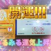 ヒメ日記 2026/09/15 17:08 投稿 しずく Respect