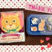 ヒメ日記 2026/02/20 19:22 投稿 あゆみ Polaris（ポラリス）