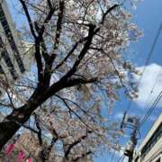 ヒメ日記 2026/03/30 18:12 投稿 あゆみ Polaris（ポラリス）